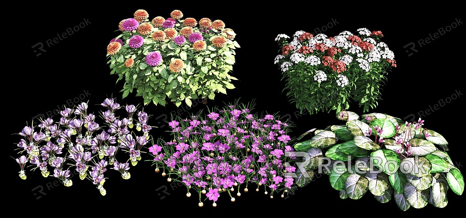 Flowers and shrubs Landscape Plants Plant Combination Flowers Combination Shrub Flowers model