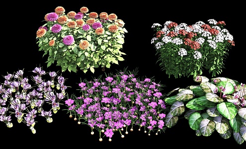 Flowers and shrubs Landscape Plants Plant Combination Flowers Combination Shrub Flowers 3d model