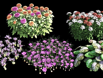 Flowers and shrubs Landscape Plants Plant Combination Flowers Combination Shrub Flowers 3d model