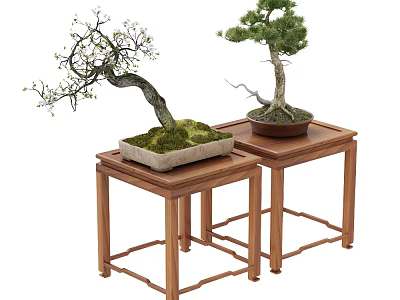 Artistic Bonsai Trees Placed On Wooden Stands With Moss Covered Bases 3d model