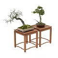 Artistic Bonsai Trees Placed On Wooden Stands With Moss Covered Bases