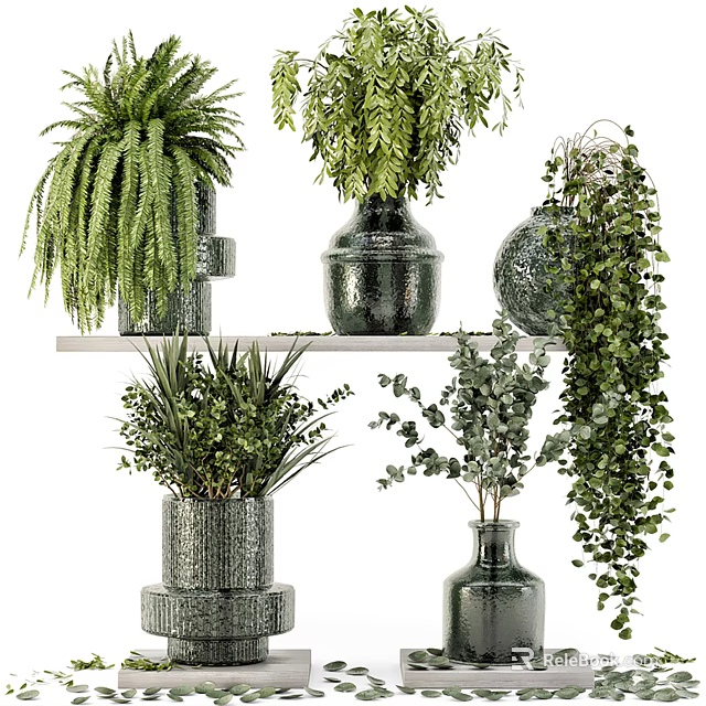 Decorative Vases With Green Plants For Stylish Home Interior Decoration 3d model 