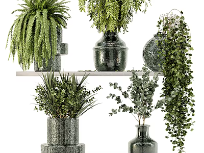 Decorative Vases With Green Plants For Stylish Home Interior Decoration 3d model