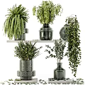 Decorative Vases With Green Plants For Stylish Home Interior Decoration