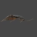 Detailed Realistic Cockroach With Dark Body Long Antennae And Legs