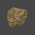 Natural Rock Sample With Fossilized Structures And 1cm Scale Measurement 3d model