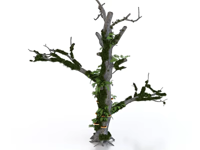 Arbor With Moss Covered Trunk Bare Branches Green Leaves And Exposed Roots 3d model