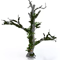 Arbor With Moss Covered Trunk Bare Branches Green Leaves And Exposed Roots