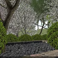 Garden Landscape Featuring Lush Trees Cherry Blossoms Green Shrubs Stone Wall Pebbles and Path