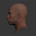 Three Bald Male Head Models Displaying Detailed Realistic Facial Features