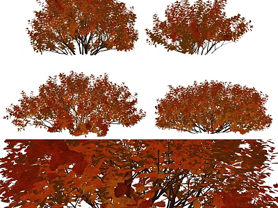 Red Leaf Shrubs Featuring Vibrant Foliage In Various Garden Landscaping Styles 3d model