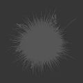 Grass Plant With Green Leaves Slender Stems And White Flower Spikes On Dark Background