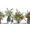 Transparent Glass Vases With Various Colorful Flowers Arranged On White Background