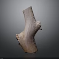 Natural Plant Wooden Stump with Smooth Texture and Irregular Shape as Decorative Element