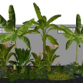 Banana Trees With Large Leaves Gray Wall Lattice Design Small Green Plants Yellow Flowers Pebble Ground