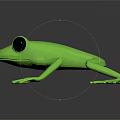 Green Frog With Large Black Eyes On Black Background