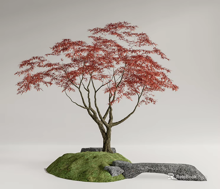 Graceful Tree With Red Leaves Trunk Green Grass Rocks And Stone Path 3d model 