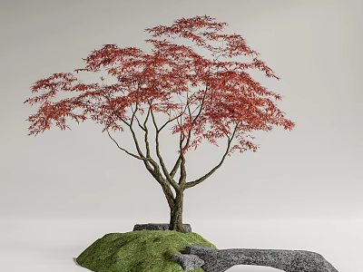 Graceful Tree With Red Leaves Trunk Green Grass Rocks And Stone Path 3d model