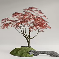 Modern Red Maple Red Maple Landscape Tree Landscape Stone Terrain 3d model
