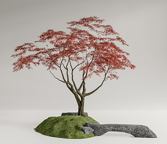 Modern Red Maple Red Maple Landscape Tree Landscape Stone Terrain 3d model