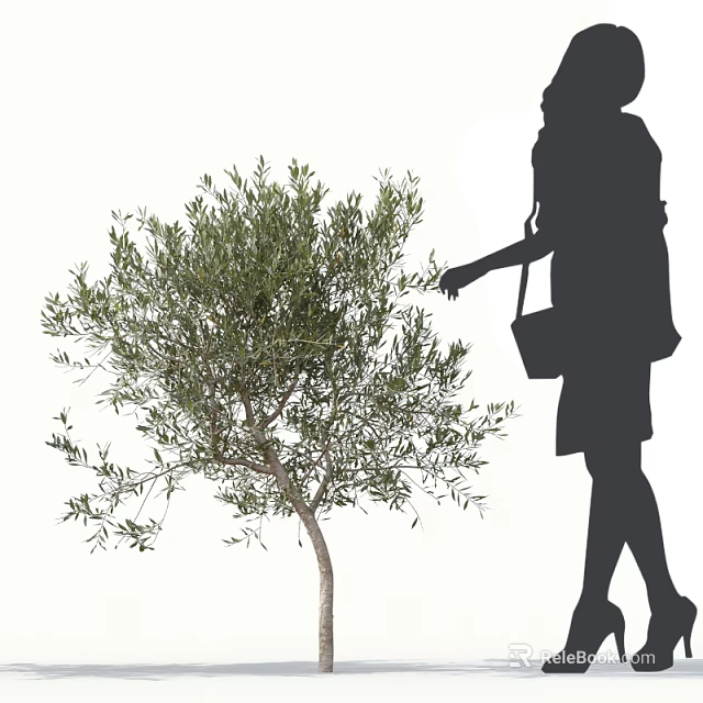 Silhouette of a Woman with Handbag Reaching to Touch Arbor with Green Foliage 3d model 