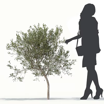 Silhouette of a Woman with Handbag Reaching to Touch Arbor with Green Foliage 3d model