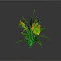 Vibrant Yellow Calla Lilies With Lush Green Leaves On Clean White Background