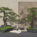 Traditional Bonsai Trees Display On Wooden Table With Open Book And Decorative Object