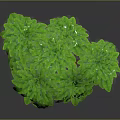 Realistic 3D Tree Model With Green Lush Leaves And Brown Trunk Design 3d model