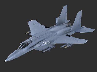 Gray Military Fighter Jet With Advanced Weapon Systems And Aerodynamic Design 3d model
