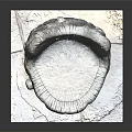 Natural Tree Stump Shaped Leisure Chair With Rustic Wood Texture And Stone Slab Base