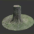 Old Tree Stump With Exposed Roots Surrounded By Grass And Soil 3d model