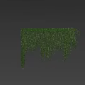 Lush Green Vines Covering White Pillar Archway With Hanging Leaves and Small White Flowers