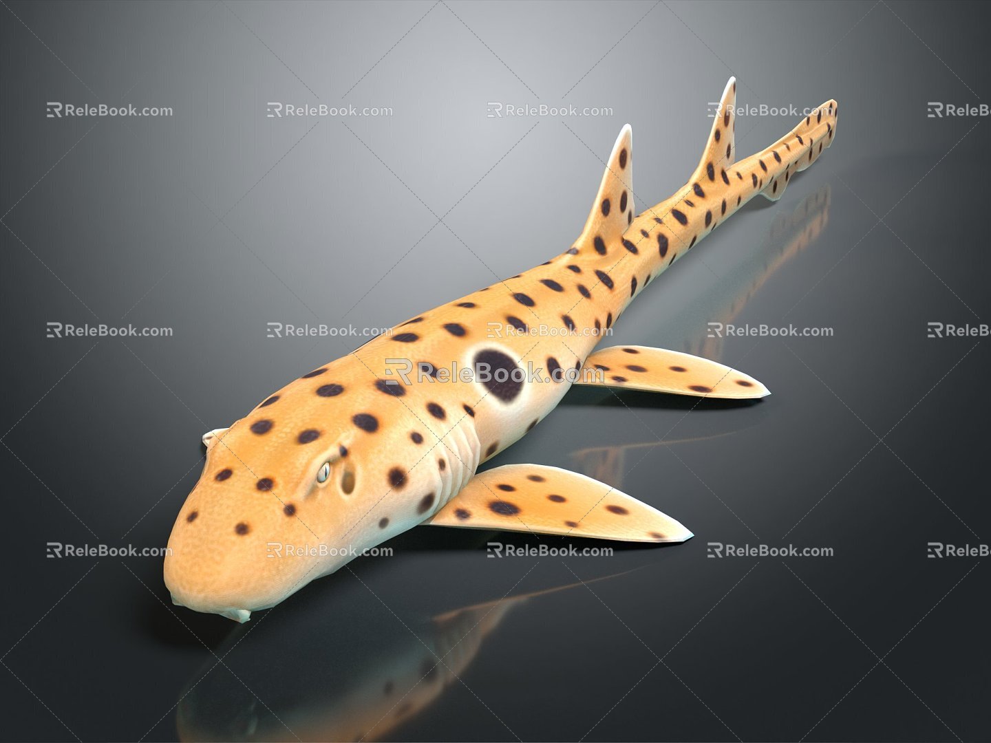 Modern shark epaulettes shark whale shark hammerhead shark 3d model