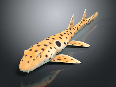 Spotted Shark Aquatic Animal With Tan Body Black Spots And Smooth Skin 3d model