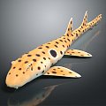 Modern shark epaulettes shark whale shark hammerhead shark 3d model