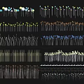 Colorful Decorative Lights Featuring Various Styles Shapes And Metallic Beaded Details