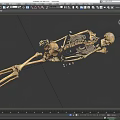 Human Skeleton Limb Bones Anatomical Structure 3D Rendered Detailed Medical Educational Model 3d model
