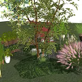 Vibrant Shrub Varieties in Lush Garden with Green Red and Pink Foliage