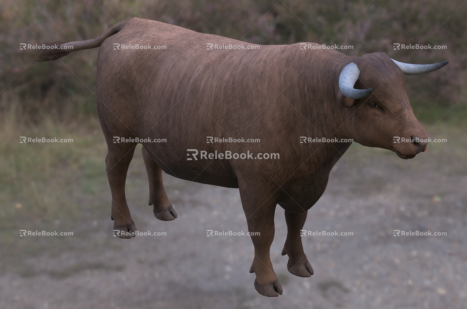 Modern Dexter Cow Animal Creatures 3d model