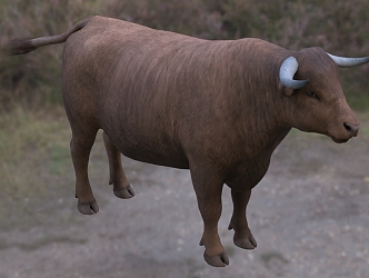 Modern Dexter Cow Animal Creatures 3d model