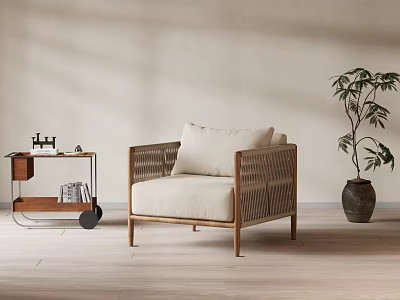 Woven Design Leisure Chair with Wooden Frame Beige Cushion and Green Plant Near Side Cart 3d model