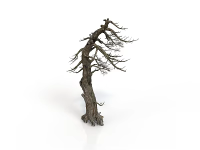 Dry Tree with Rough Trunk and Leafless Branches Standing Against White Background 3d model