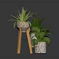 Potted Green Plants In Speckled Pots On Wooden Tripod Stand With Dark Reflective Surface Arrangement