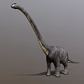Long Neck Dinosaur Model With Gray Skin Standing In Neutral Background 3d model