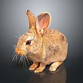 Realistic Rabbit Statue With Brown Fur Long Ears Red Eyes White Whiskers And Black Background