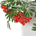 Natural Decorative Ornament Set With White Vase Red Berries And Green Leaves