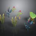Colorful Tropical Plants With Green Leaves Red Berries And Large Foliage