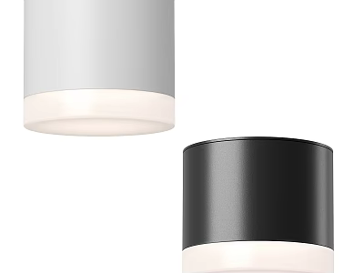 Modern White And Black Downlights With Sleek Design For Home Interior Lighting 3d model