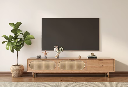 Nordic TV Cabinet TV Book Ornaments Floor-Standing Potted Plant 3d model